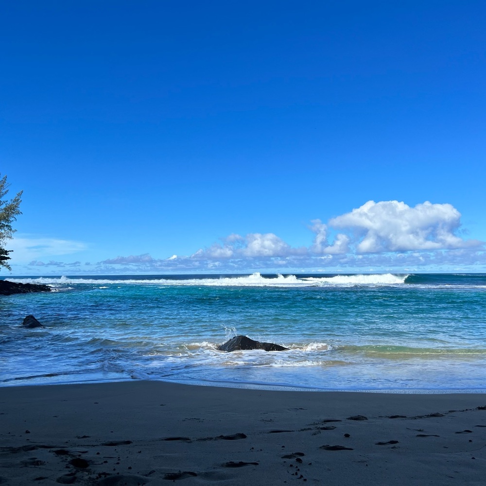 Meet your Posher, Priya